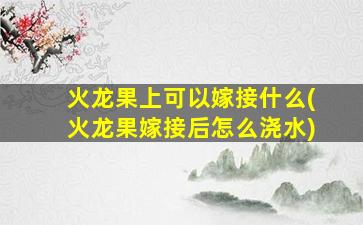 火龙果上可以嫁接什么(火龙果嫁接后怎么浇水)