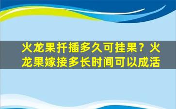 火龙果扦插多久可挂果？火龙果嫁接多长时间可以成活