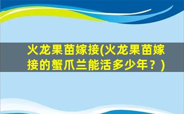 火龙果苗嫁接(火龙果苗嫁接的蟹爪兰能活多少年？)