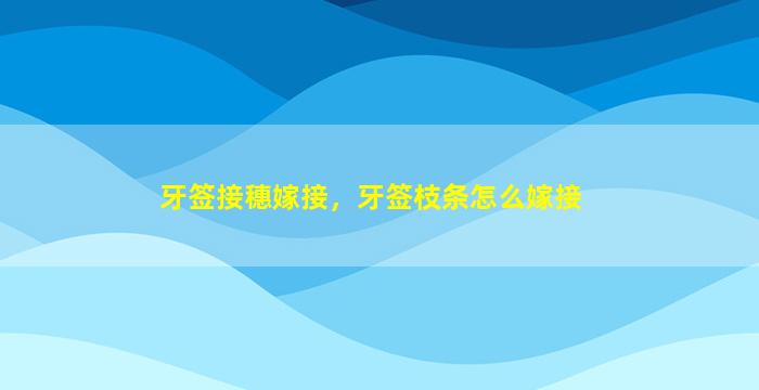 牙签接穗嫁接，牙签枝条怎么嫁接