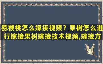 猕猴桃怎么嫁接视频？果树怎么进行嫁接果树嫁接技术视频,嫁接方法图解