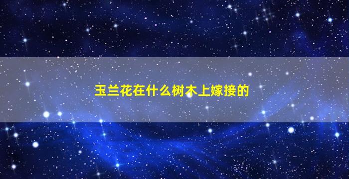 玉兰花在什么树木上嫁接的