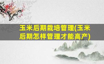 玉米后期栽培管理(玉米后期怎样管理才能高产)