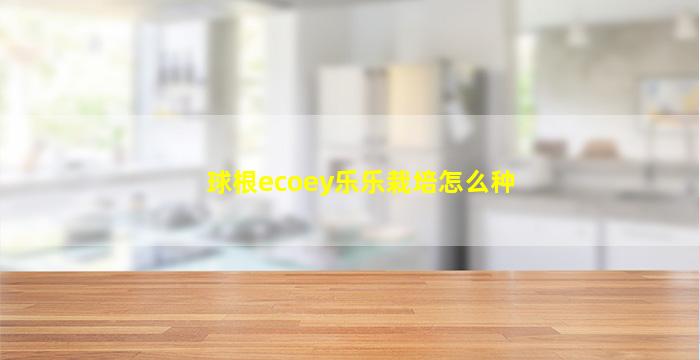 球根ecoey乐乐栽培怎么种