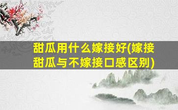 甜瓜用什么嫁接好(嫁接甜瓜与不嫁接口感区别)