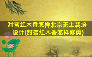 甜蜜红木香怎样北京无土栽培设计(甜蜜红木香怎样修剪)