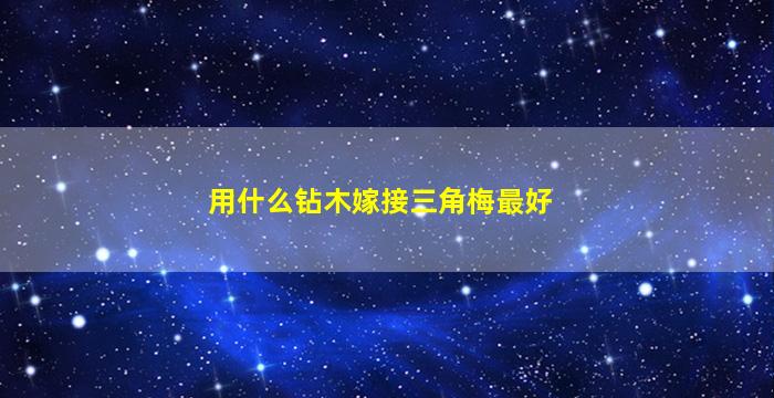 用什么钻木嫁接三角梅最好