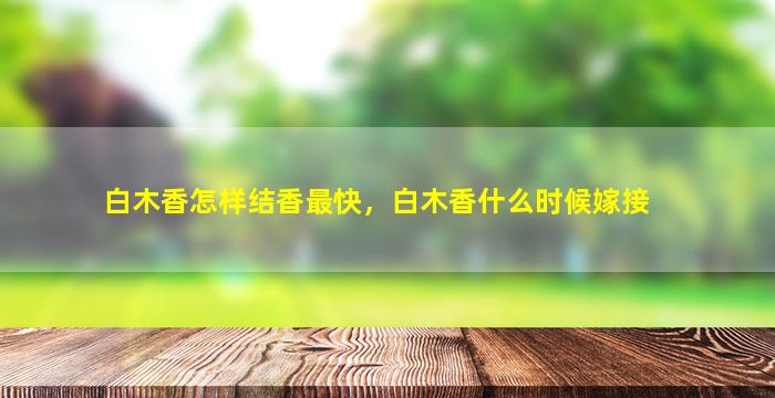 白木香怎样结香最快，白木香什么时候嫁接