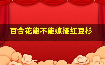 百合花能不能嫁接红豆杉