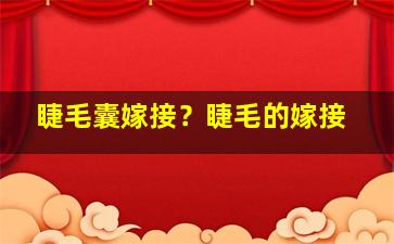 睫毛囊嫁接？睫毛的嫁接