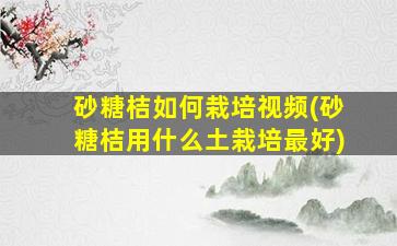 砂糖桔如何栽培视频(砂糖桔用什么土栽培最好)