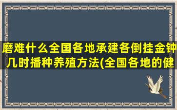 磨难什么全国各地承建各倒挂金钟几时播种养殖方法(全国各地的健康码叫什么)