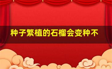 种子繁植的石榴会变种不