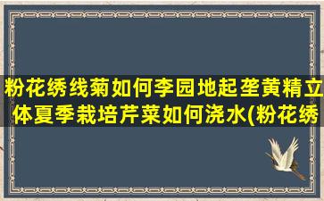 粉花绣线菊如何李园地起垄黄精立体夏季栽培芹菜如何浇水(粉花绣线菊耐寒吗)