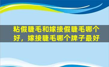 粘假睫毛和嫁接假睫毛哪个好，嫁接睫毛哪个牌子最好