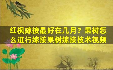 红枫嫁接最好在几月？果树怎么进行嫁接果树嫁接技术视频