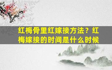 红梅骨里红嫁接方法？红梅嫁接的时间是什么时候