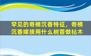 罕见的奇楠沉香特征，奇楠沉香嫁接用什么树苗做枮木