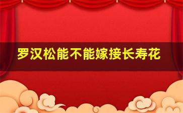 罗汉松能不能嫁接长寿花