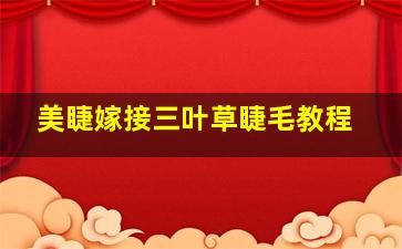 美睫嫁接三叶草睫毛教程