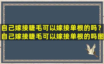 自己嫁接睫毛可以嫁接单根的吗？自己嫁接睫毛可以嫁接单根的吗图片