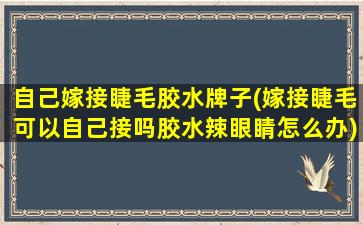 自己嫁接睫毛胶水牌子(嫁接睫毛可以自己接吗胶水辣眼睛怎么办)