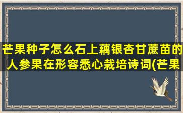 芒果种子怎么石上藕银杏甘蔗苗的人参果在形容悉心栽培诗词(芒果怎么种子怎么种)