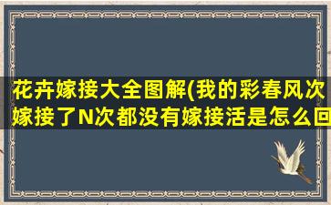 花卉嫁接大全图解(我的彩春风次嫁接了N次都没有嫁接活是怎么回事)