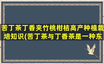 苦丁茶丁香夹竹桃柑桔高产种植栽培知识(苦丁茶与丁香茶是一种东西吗)