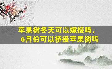 苹果树冬天可以嫁接吗，6月份可以桥接苹果树吗