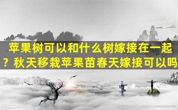 苹果树可以和什么树嫁接在一起？秋天移栽苹果苗春天嫁接可以吗