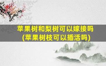 苹果树和梨树可以嫁接吗(苹果树枝可以插活吗)