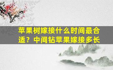 苹果树嫁接什么时间最合适？中间钻苹果嫁接多长