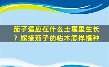 茄子适应在什么土壤里生长？嫁接茄子的粘木怎样播种