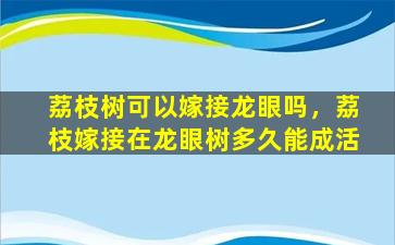 荔枝树可以嫁接龙眼吗，荔枝嫁接在龙眼树多久能成活