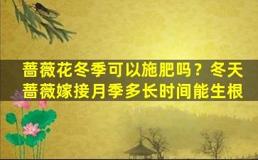 蔷薇花冬季可以施肥吗？冬天蔷薇嫁接月季多长时间能生根