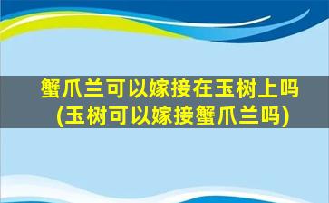 蟹爪兰可以嫁接在玉树上吗(玉树可以嫁接蟹爪兰吗)