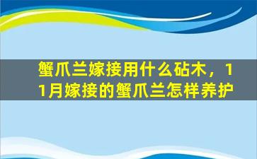 蟹爪兰嫁接用什么砧木，11月嫁接的蟹爪兰怎样养护