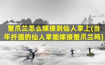 蟹爪兰怎么嫁接到仙人掌上(当年扦插的仙人掌能嫁接蟹爪兰吗)