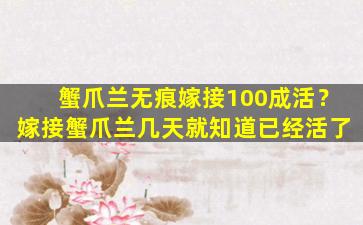 蟹爪兰无痕嫁接100成活？嫁接蟹爪兰几天就知道已经活了