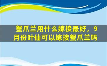 蟹爪兰用什么嫁接最好，9月份叶仙可以嫁接蟹爪兰吗