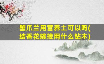 蟹爪兰用营养土可以吗(结香花嫁接用什么钻木)