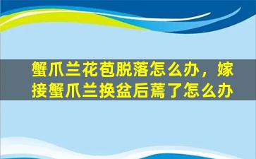 蟹爪兰花苞脱落怎么办，嫁接蟹爪兰换盆后蔫了怎么办