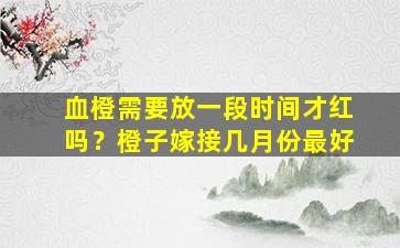 血橙需要放一段时间才红吗？橙子嫁接几月份最好