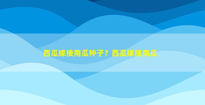 西瓜嫁接南瓜种子？西瓜嫁接南瓜