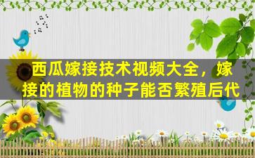 西瓜嫁接技术视频大全，嫁接的植物的种子能否繁殖后代