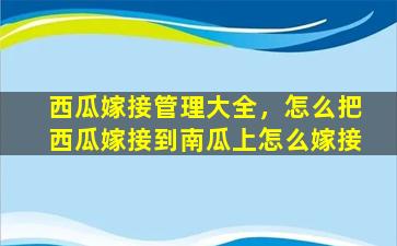 西瓜嫁接管理大全，怎么把西瓜嫁接到南瓜上怎么嫁接