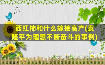 西红柿和什么嫁接高产(袁隆平为理想不断奋斗的事例)