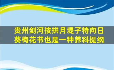 贵州剑河按拱月堤子特向日葵梅花书也是一种养科提纲