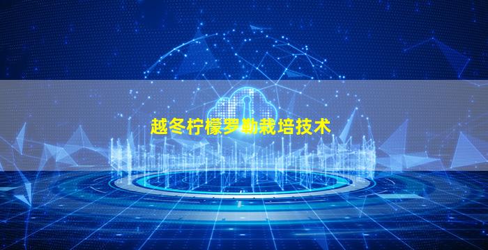 越冬柠檬罗勒栽培技术